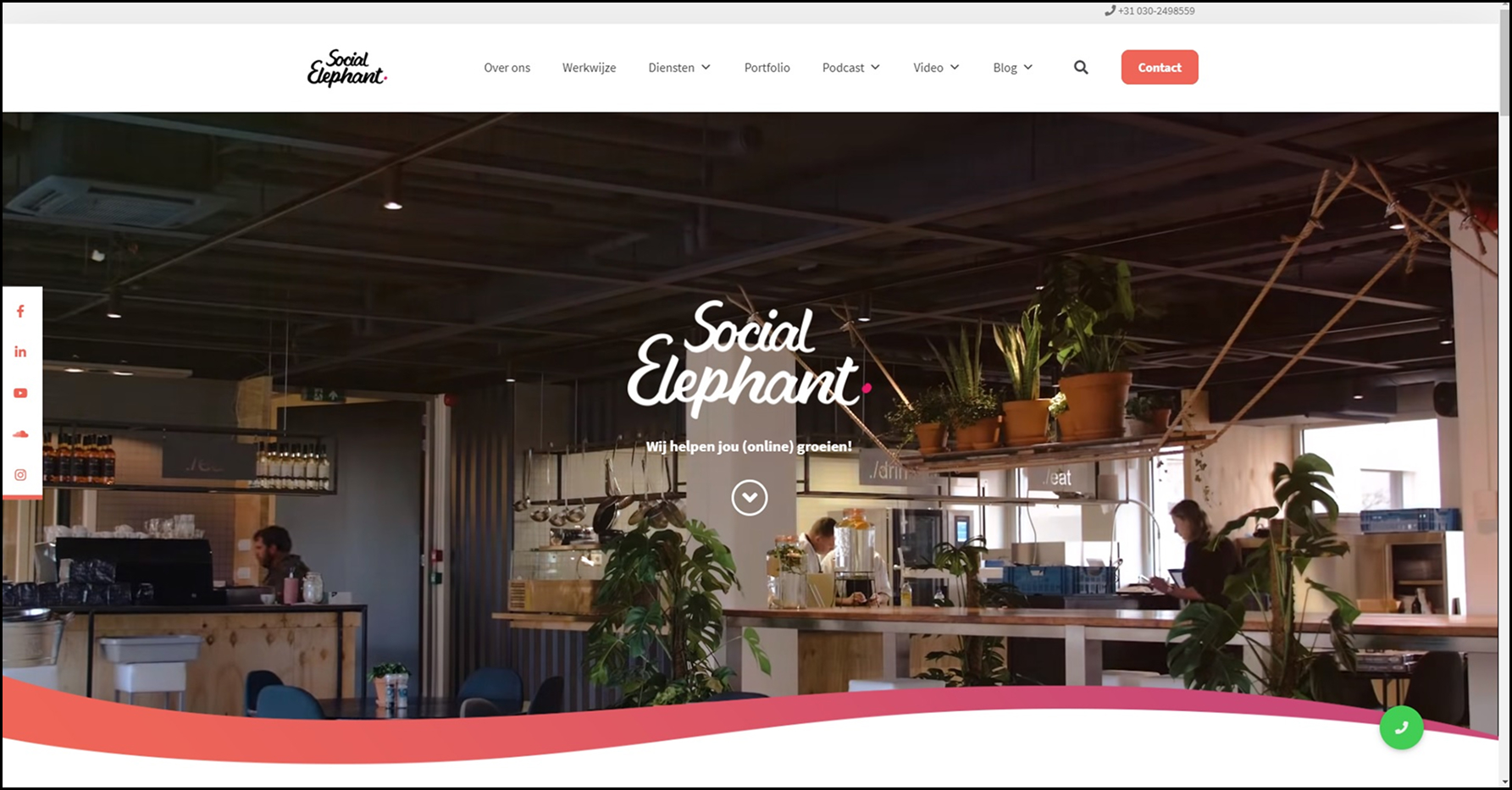 Website Social Elephant